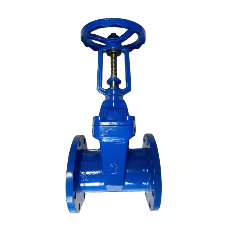 Injap Gerbang Flange Soft Flange Soft Soft Iron Open Iron